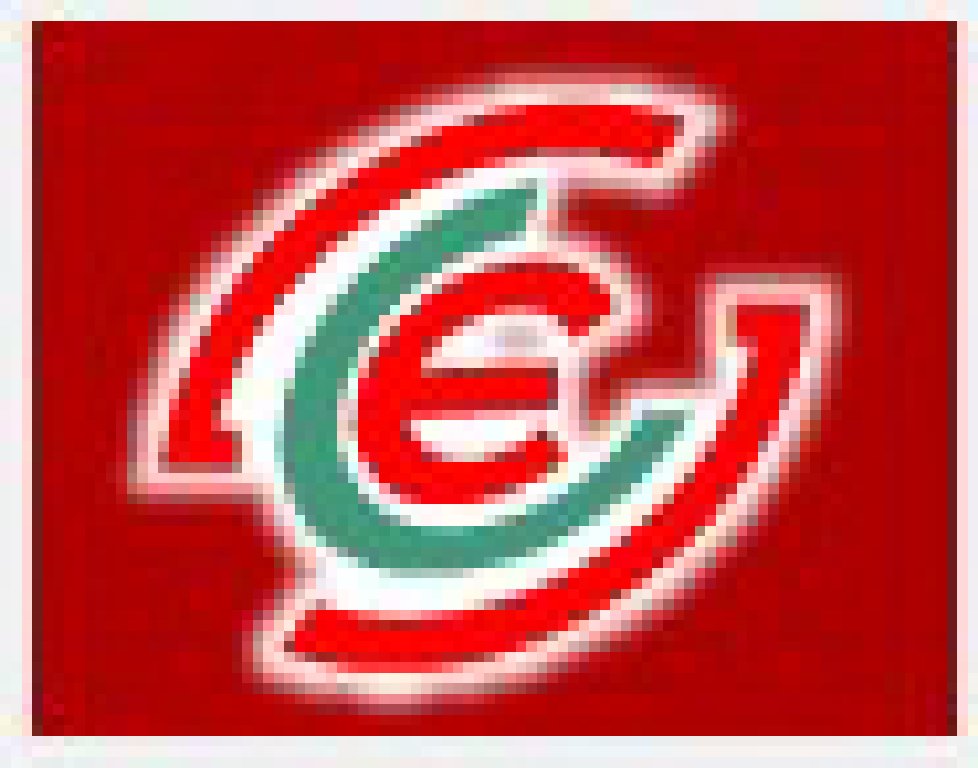 2012年第十七屆上海連鎖加盟展覽會(huì)